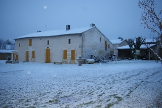le musée sous la neige